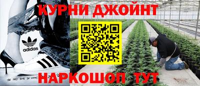 гидропоника Бугуруслан