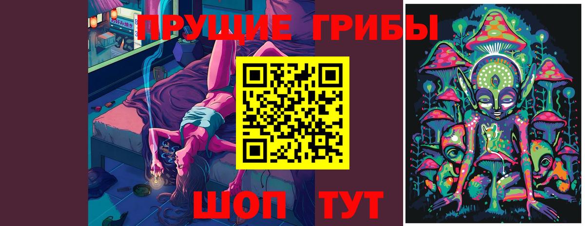 Углич  Псилоцибиновые грибы Psilocybe  Вход с VPN 